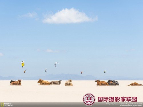 2013《国家地理》摄影大赛获奖作品欣赏 